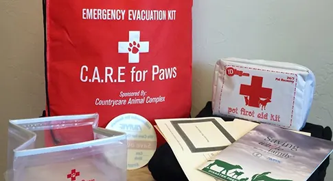 A C.A.R.E. for Paws emergency evacuation kit and a pet first-aid kit