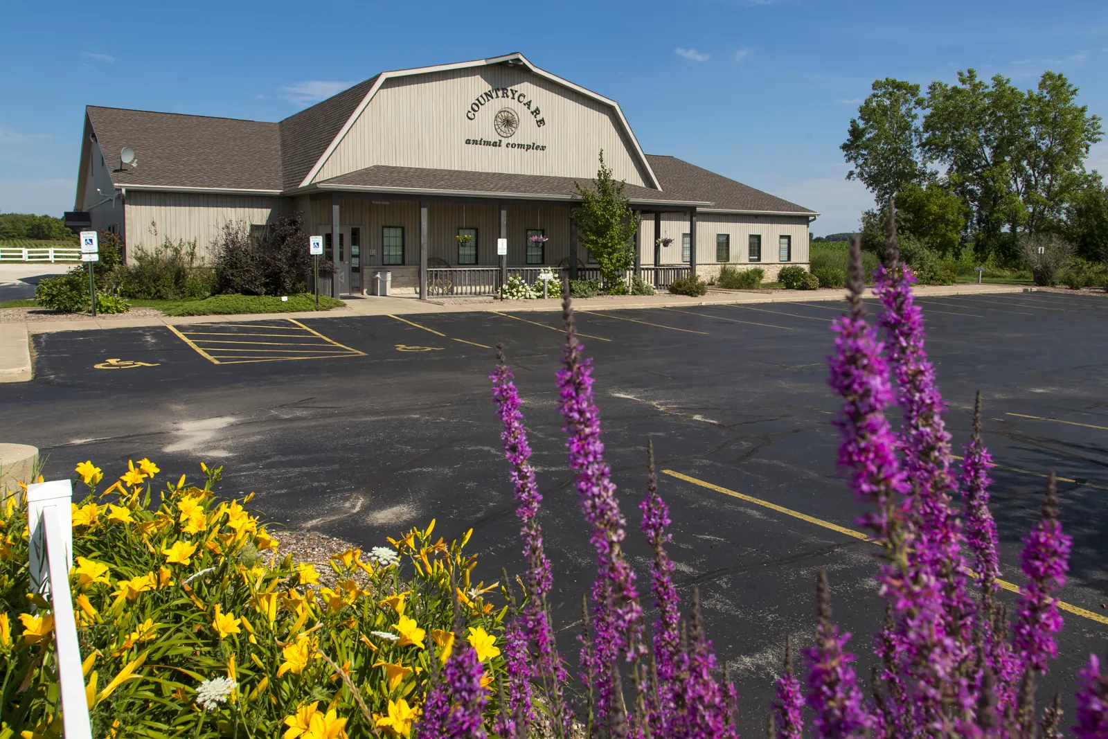 The Countrycare Animal Complex building behind purple and yellow summer flowers