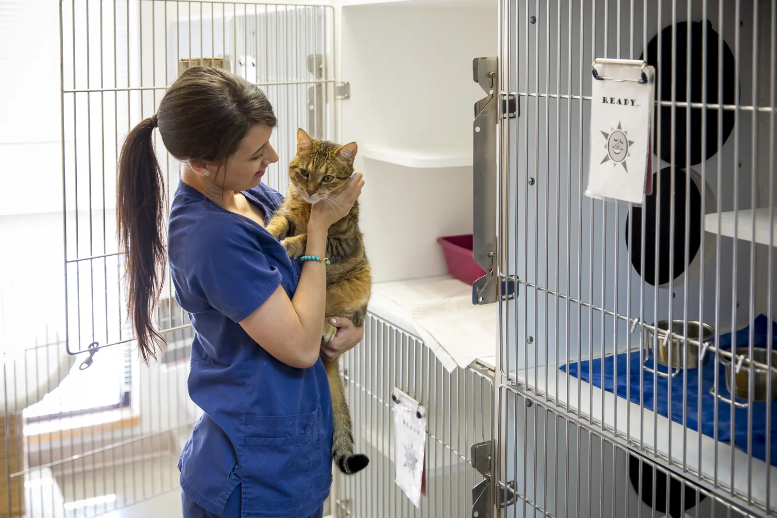 A Countrycare team member holds a tabby cat beside the cat boarding condos